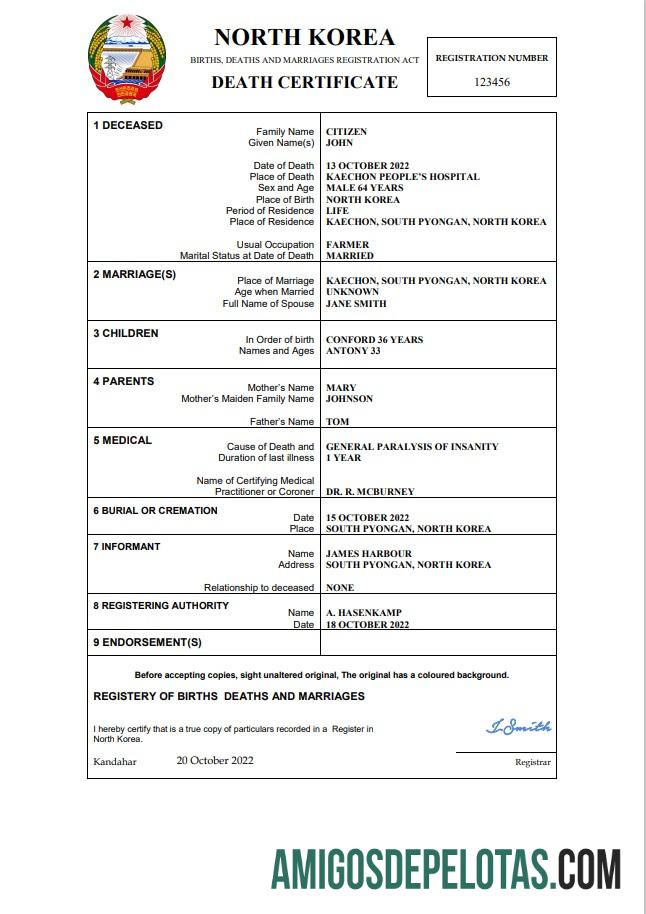 Realista modelo Word e PDF de certidão de óbito de registro vital da Coreia do Norte